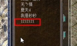 寻找传奇私服，探索复古游戏世界的无限可能