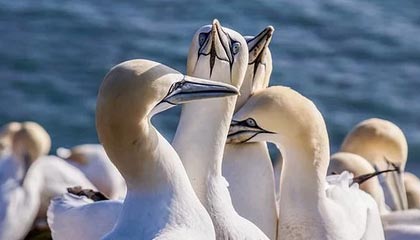 传奇手游排行榜