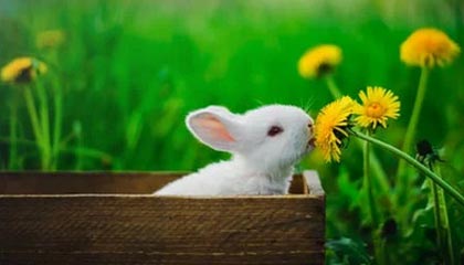 传奇手游平台：核心定位与市场洞察